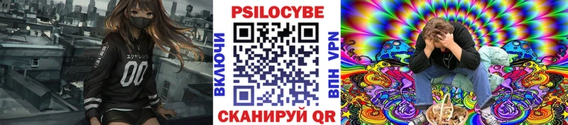 Галлюциногенные грибы MAGIC MUSHROOMS  купить   мега как войти  Саранск 